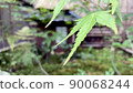 Early summer scenery 90068244
