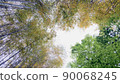 Early summer scenery 90068245