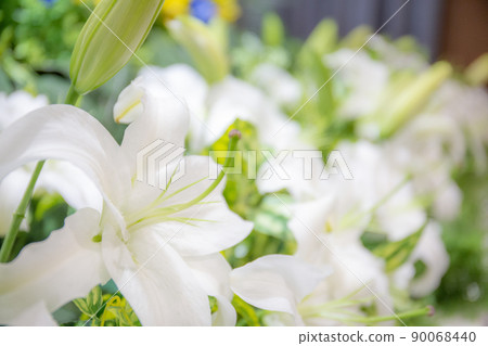 Funeral hall flower altar Funeral hall flower altar 90068440