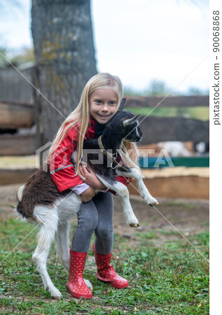 A blonde cute girl playing with a goat on farm 90068868