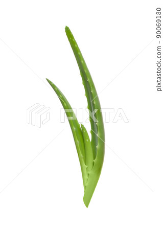 Aloe vera cutting leaves isolated on white background. 90069180