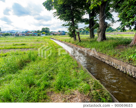 Refreshing early summer scenery: Nostalgic scenery of rice fields and fields in Tama, Tokyo 90069683