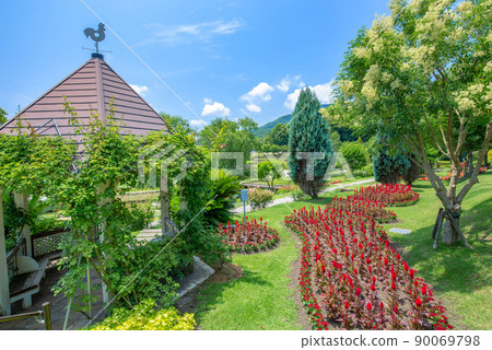 [山口花地]藍天西式庭園 90069798
