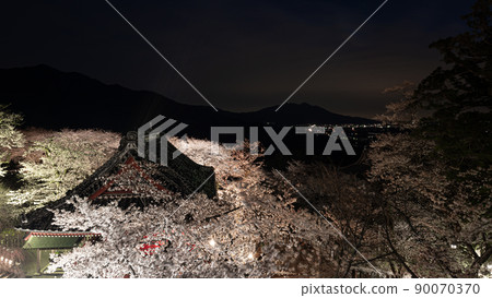 Amabiki Kannon Sakura and Niomon Illuminated Spring Scenery 90070370