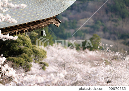 Amabiki Kannon Sakura and Tahoto Spring Scenery Amabiki Kannon Sakura and Tahoto Spring Scenery 90070383