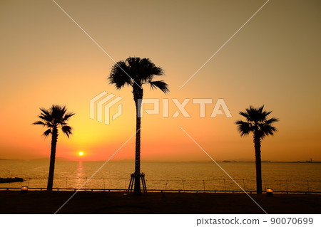Coast, sunset and palm trees Coast, sunset and palm trees 90070699