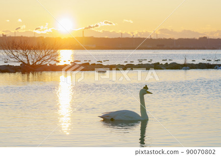 Sunrise from Kitaura Swan Village, Swan and Factory Area Sunrise from Kitaura Swan Village, Swan and Factory Area 90070802