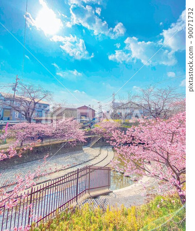 櫻花風景如卡通 90071732