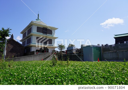 Yokohama Chugiso-Naka-ku, 橫濱- 90071804