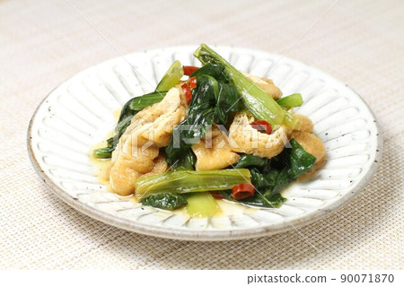 日本芥末菠菜和炸豆腐 日本芥末菠菜和炸豆腐 90071870