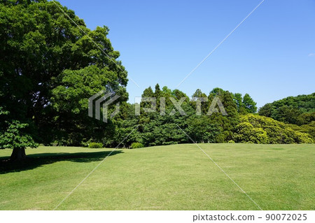 Negishi Forest Park 90072025