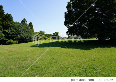 Negishi Forest Park 90072026