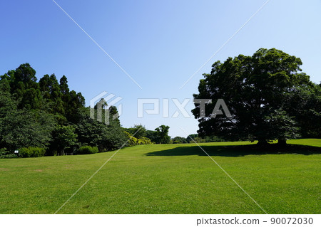 根岸森林公園 90072030