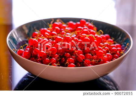 Plate full of ripe Redcurrant berries. 90072055