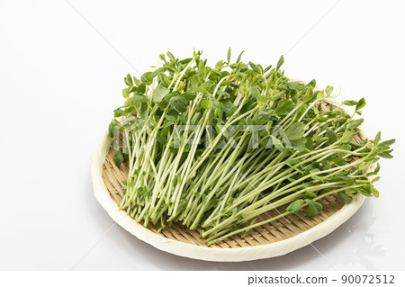 白色背景濾鍋上的豆苗 白色背景濾鍋上的豆苗 90072512