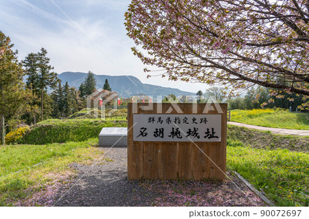 Nagurumi Castle name plate and double cherry blossoms 90072697