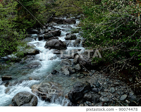 Kago母親乙女谷 90074478