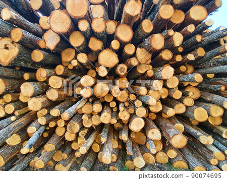 The wall of the barrel sawn birch timber cutting The wall of the barrel sawn birch timber cutting 90074695