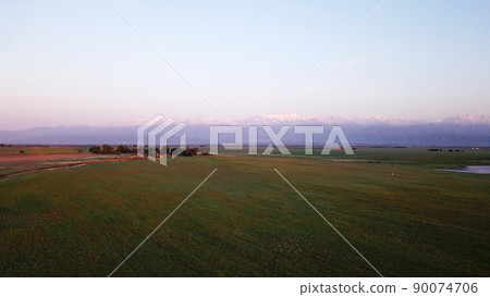 Poppy fields with views of the snowy mountains. Poppy fields with views of the snowy mountains. 90074706