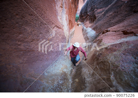 Slot canyon 90075226