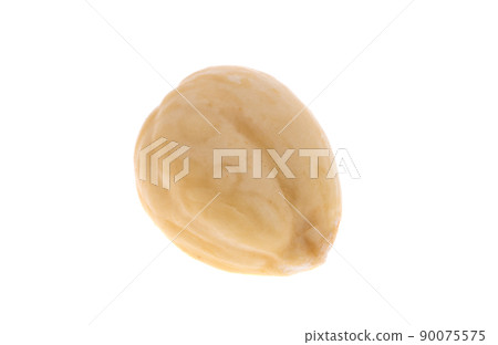 nuts isolated nuts isolated 90075575
