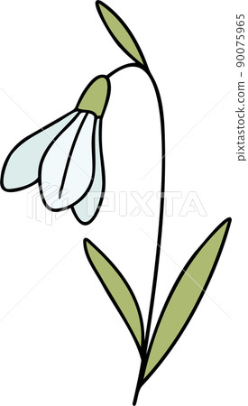 誕生花 - 一月，雪江花 90075965