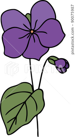 February Birth Flower  Violet  VagaBlondie