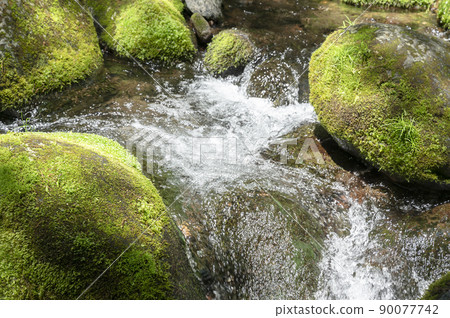 Flow of mountain stream near Otome no Taki, Nasushiobara City, Tochigi Prefecture Flow of mountain stream near Otome no Taki, Nasushiobara City, Tochigi Prefecture 90077742