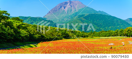 Shimabara Hibaruyama Flower Park Poppy Heisei Shinzan Panorama [Shimabara City, Nagasaki City] 90079480