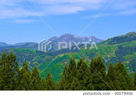 大日泉加賀市 90079986