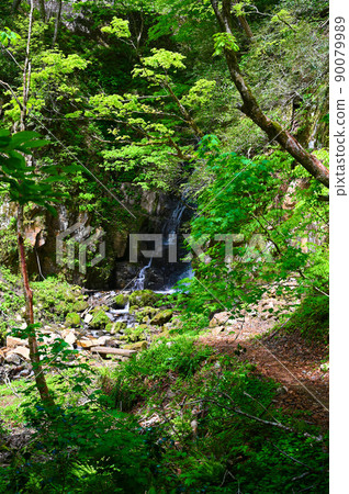 不動瀑布不動明王胜山市 不動瀑布不動明王胜山市 90079989