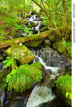 Fudo Waterfall Promenade Clear Stream Katsuyama City 90079990