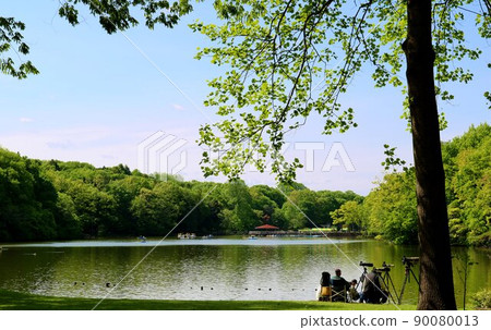 Afternoon with beautiful fresh green, calm spring scenery, Moka Inoue Park Afternoon with beautiful fresh green, calm spring scenery, Moka Inoue Park 90080013