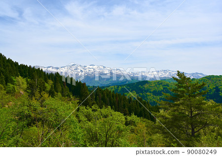 白山 白山全景公園景觀 白山市西山市 90080249