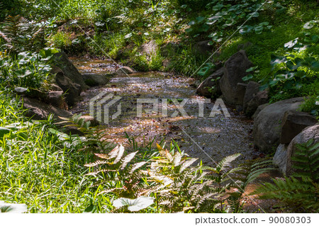 Sleeping in the forest 90080303