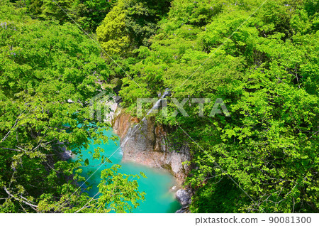 View from Tedori Gorge Fresh Green Komon Bridge Hakusan City 90081300