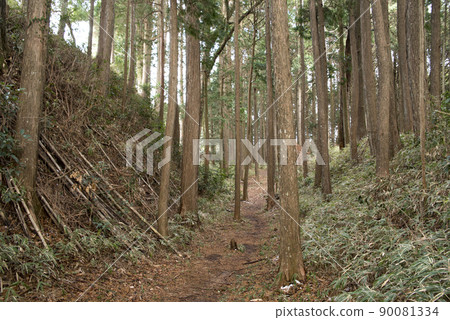Kameyama Castle Ruins: Sky moat around Honmaru Kameyama Castle Ruins: Sky moat around Honmaru 90081334