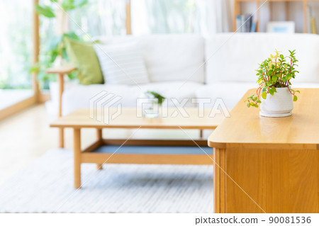 Interior Interior 90081536