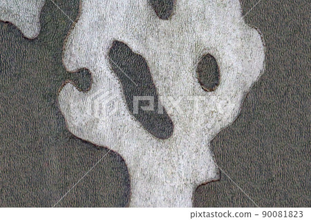 sycamore shape 90081823