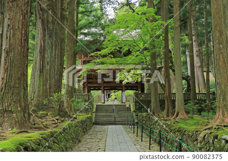 長野縣駒根市光善寺方法和山門 90082375