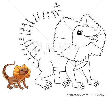 Lizard Coloring Pages 