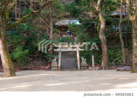 被綠色森林環繞的小神社 被綠色森林環繞的小神社 90083862