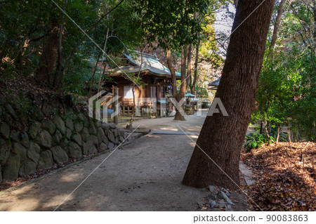 一座寺廟的佛教寺廟坐落在一個安靜的森林裡 90083863