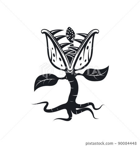 black carnivorous plant vector illustration concept element design black carnivorous plant vector illustration concept element design 90084448
