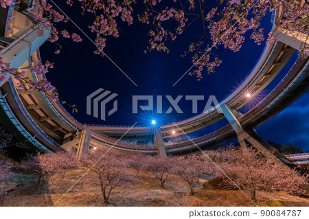Co-starring Kawazu Nanataki Loop Bridge and Kawazu Sakura Co-starring Kawazu Nanataki Loop Bridge and Kawazu Sakura 90084787