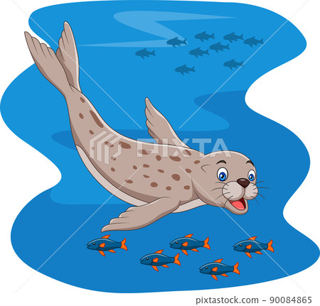 Cartoon seal swimming with fish 90084865
