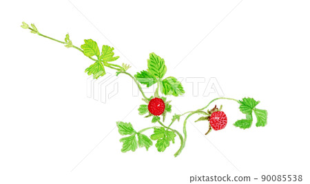 Potentilla indica 的 Potentilla indica 水彩插圖 90085538