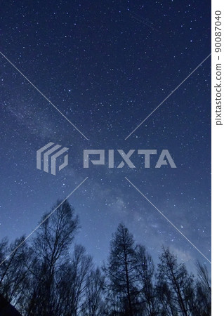 Milky Way looking up from the woods Milky Way looking up from the woods 90087040