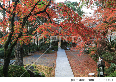 Autumn leaves of Taikoji Temple 90087503