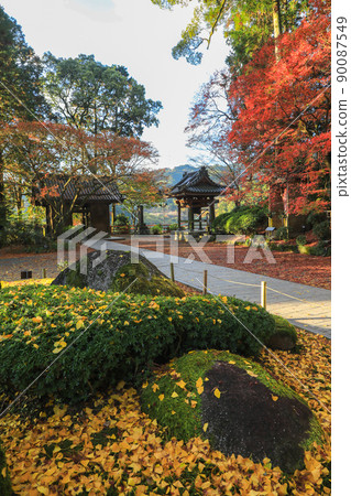 Autumn leaves of Taikoji Temple 90087549